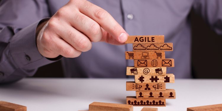 Agile Working: Need a Critical Friend ?